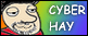 CyberHay